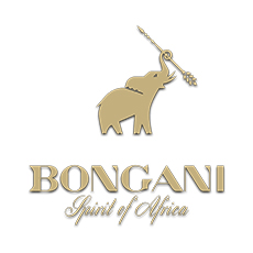 Bongani