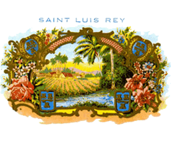 Saint Luis Rey