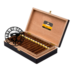 Cohiba Maduro-5 Genios Box of 25