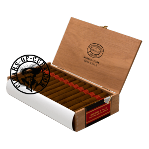 Partagas Serie E No.2