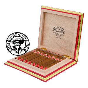 Romeo y Julieta Maravillas 8