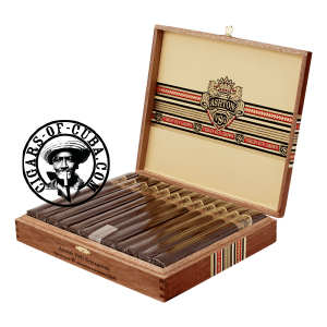 Ashton Vsg Spellbound Box of 24