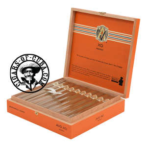 Avo Xo - Maestoso Box of 20