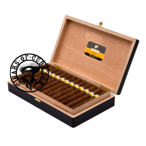 Cohiba Maduro-5 Genios Box of 25