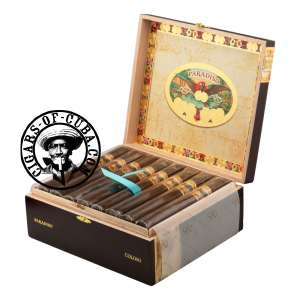 PARADISO Coloso Box of 24