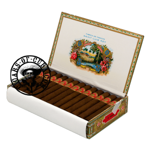 Saint Luis Rey Regios Box of 25
