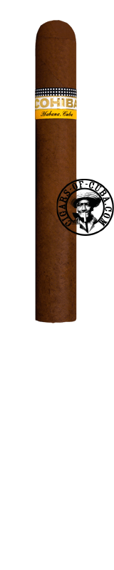 Cohiba Siglo VI