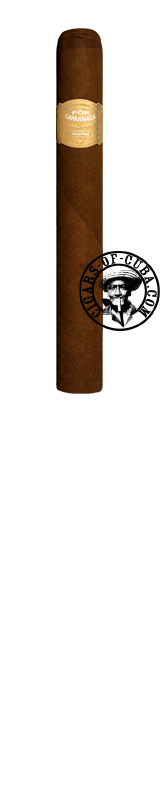 Combinaciones Por Larranaga Petit Coronas 50 & Villiger 1492 Set