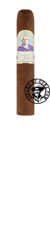 DIAMOND CROWN Julius Ceaser - Robusto