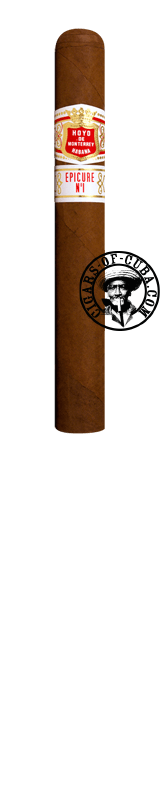 Hoyo De Monterrey Epicure No. 1 SLB