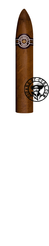 Montecristo Petit No.2