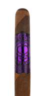 ASYLUM 13 Eleven 11/18 Limited Edition
