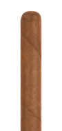 El Santor Robusto