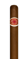 Romeo y Julieta Mille Fleurs