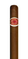 Romeo y Julieta Mille Fleurs