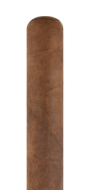 TATUAJE Gran Cojonu