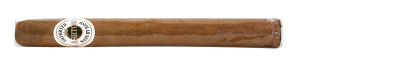Ashton Classic Churchill Stick