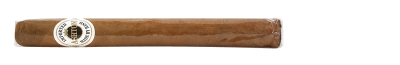 Ashton Classic Churchill Stick