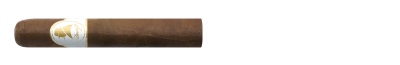 Davidoff Winston Churchill - Robusto Stick