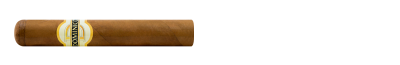 Dominico Robusto Stick