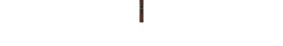 RAICES C5 Black - Robusto Stick
