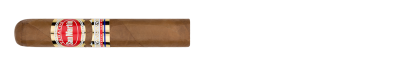 SAN MART&Iacute;N Robusto