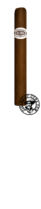 Combinaciones JLP Brevas 12 & Dominico Set